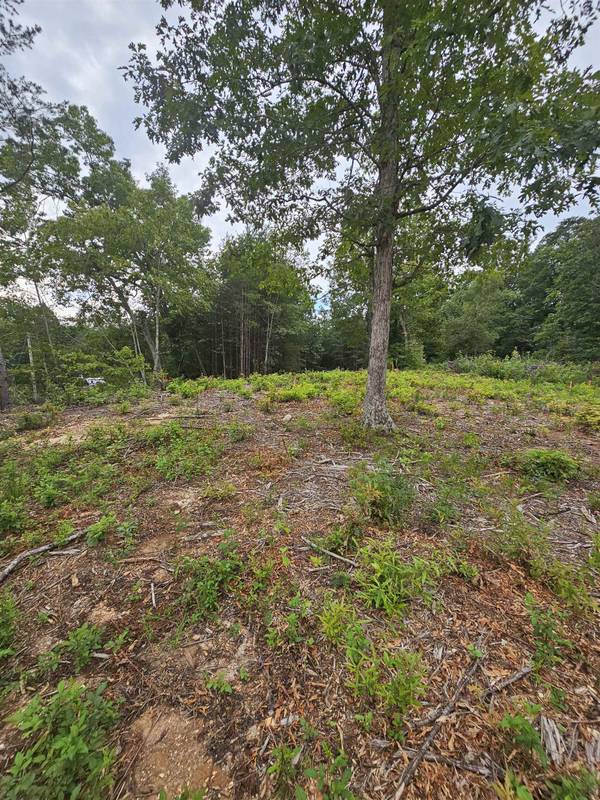 1142 Belue Mill RD, Landrum, SC 29356