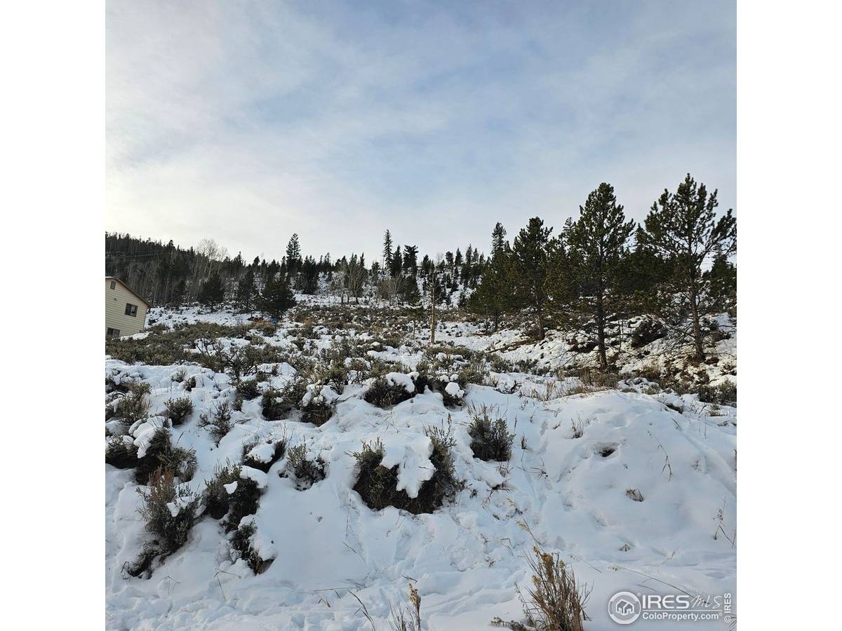 Roosevelt, Hot Sulphur Springs, CO 80451