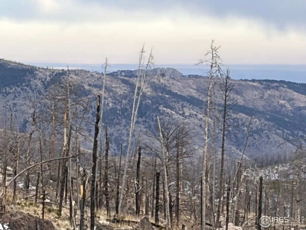 2025 Granite, Bellvue, CO 80512