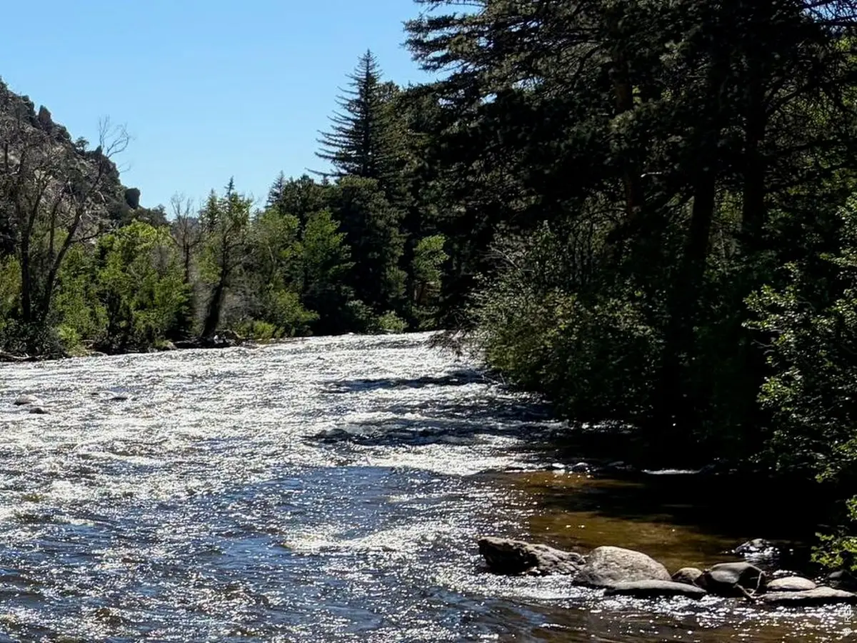 32370 Poudre Canyon, Bellvue, CO 80512