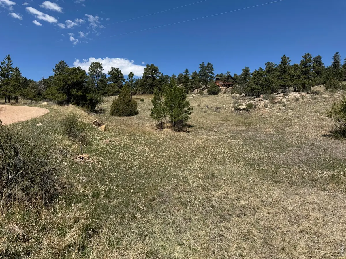 565 Le Conte, Livermore, CO 80536