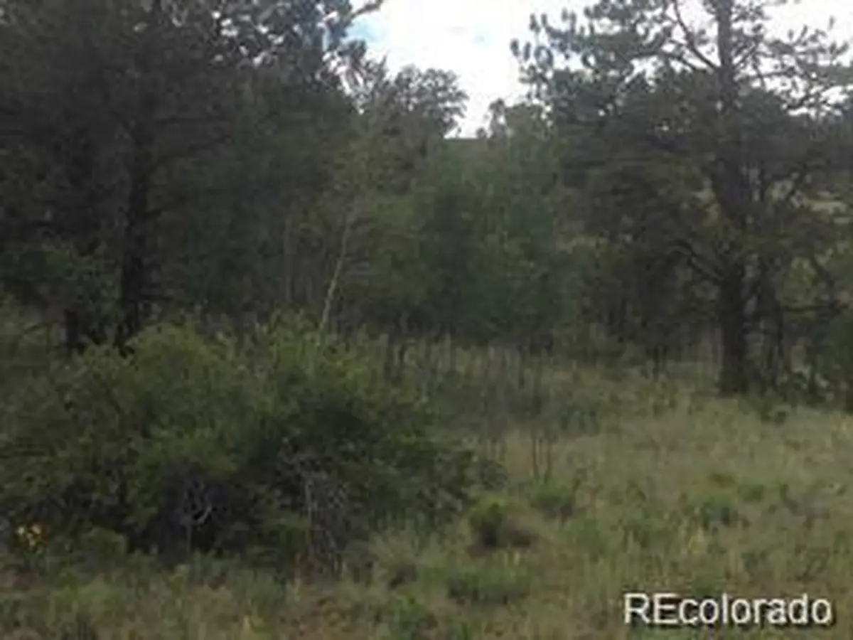 1681 Athapascan, Hartsel, CO 80449