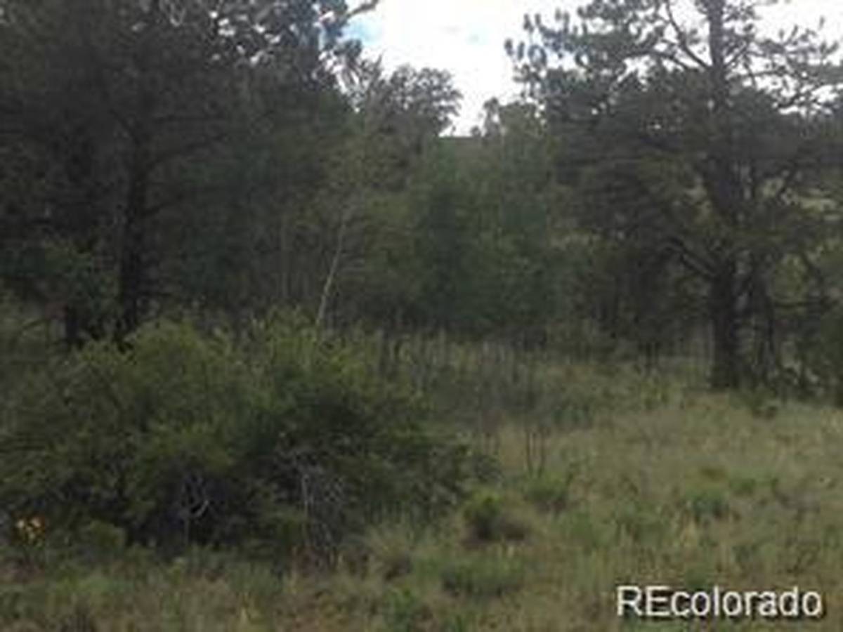1681 Athapascan, Hartsel, CO 80449