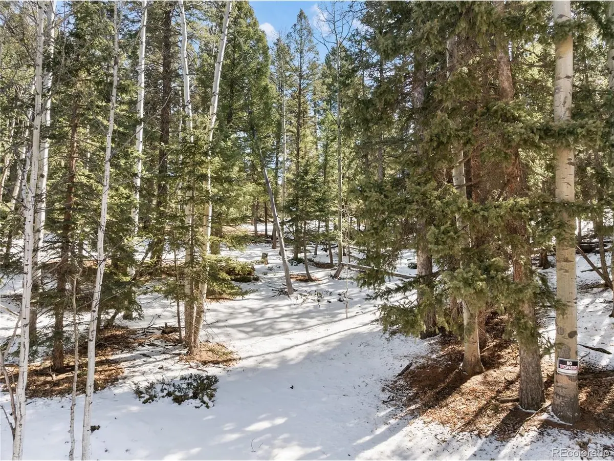 358 Pawutsy, Florissant, CO 80816