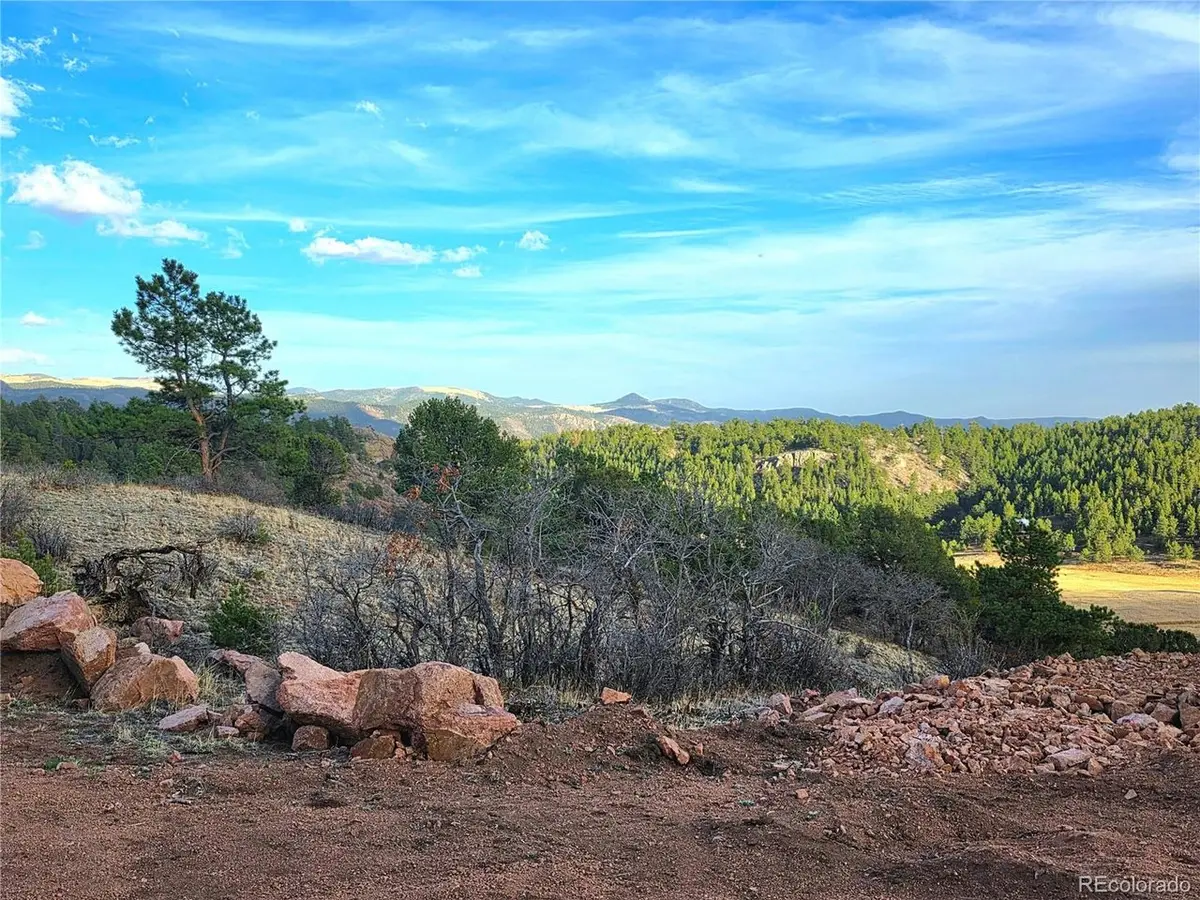 204 Pine, Florissant, CO 80816