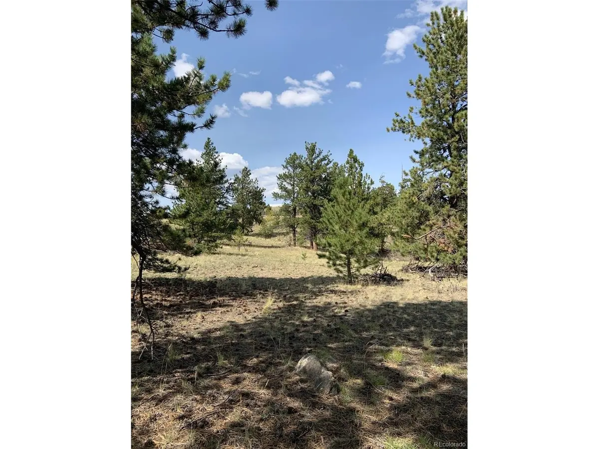 Address not disclosed, Hartsel, CO 80449