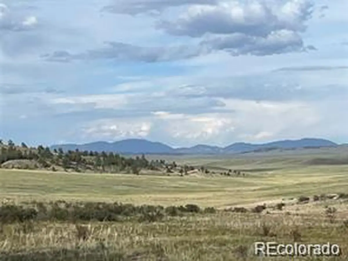 1599 Campfire, Hartsel, CO 80449