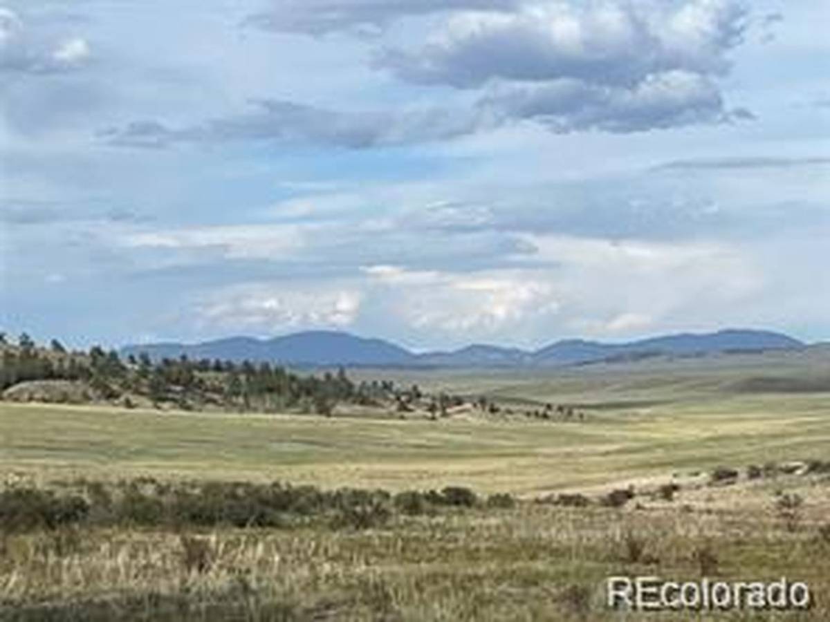 1599 Campfire, Hartsel, CO 80449