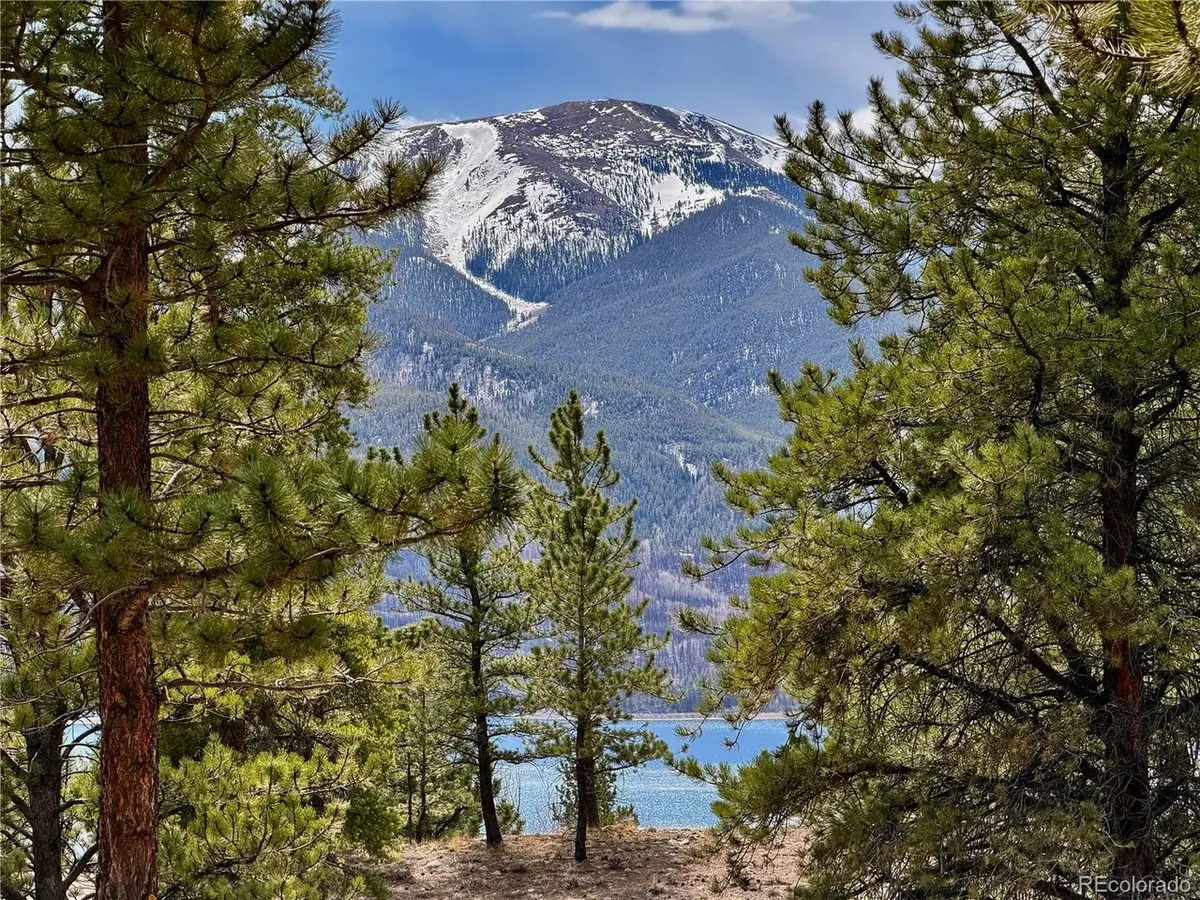 142 La Plata Peak, Twin Lakes, CO 81251