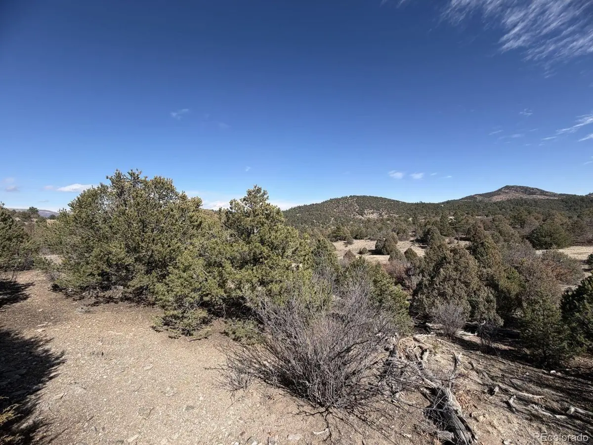 91 King, Cotopaxi, CO 81223