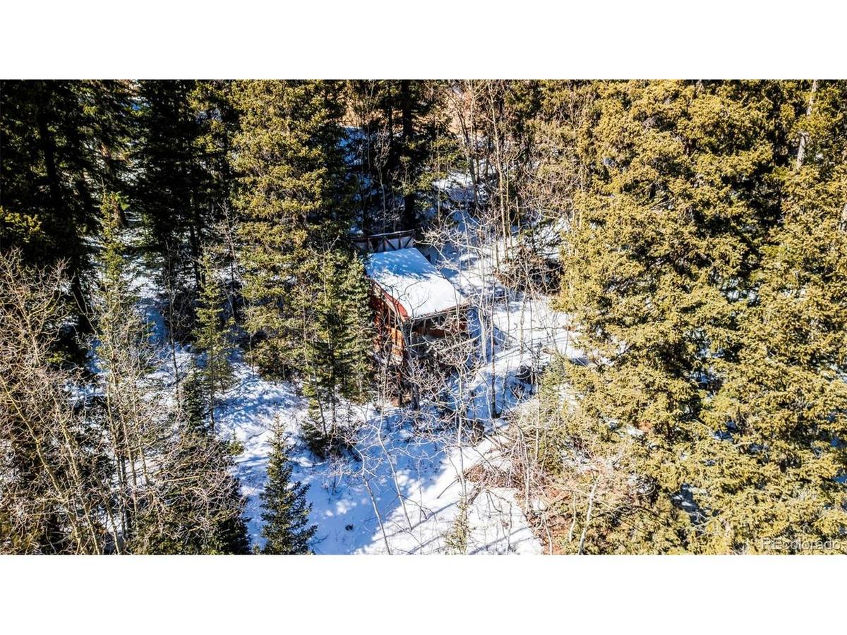944 Roberts, Alma, CO 80420