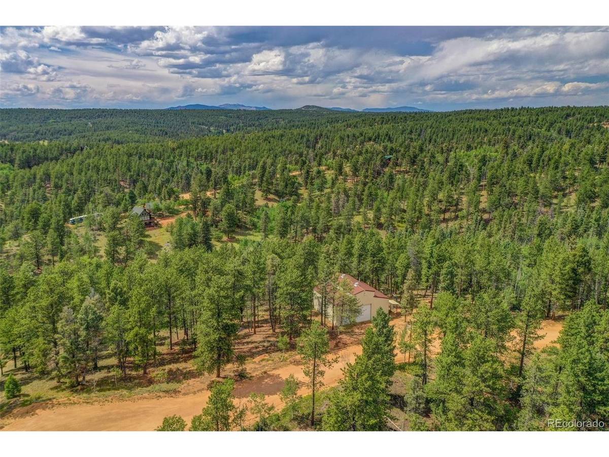 449 Woody Creek, Florissant, CO 80816
