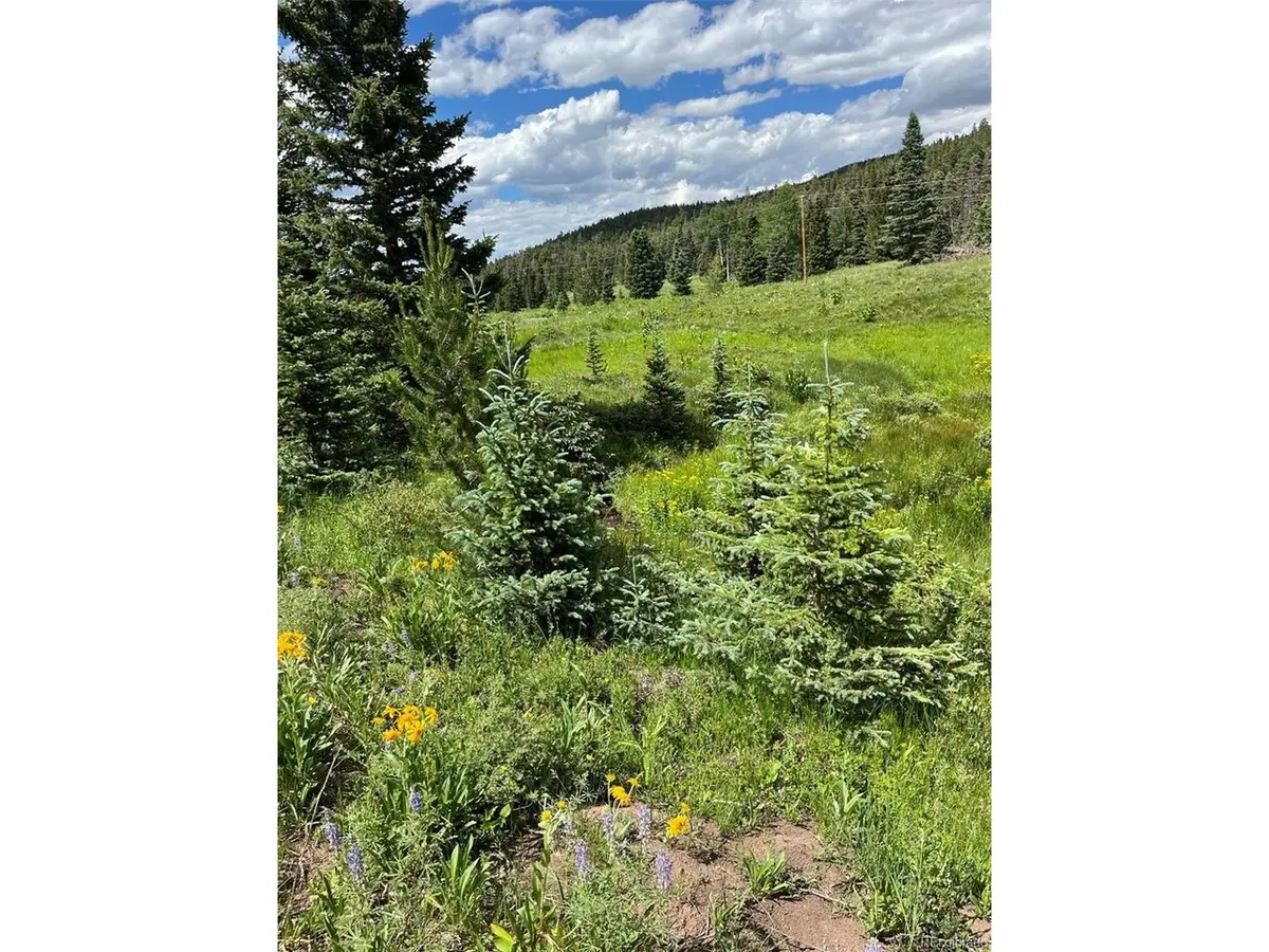 3091 Sterenson, Fort Garland, CO 81133