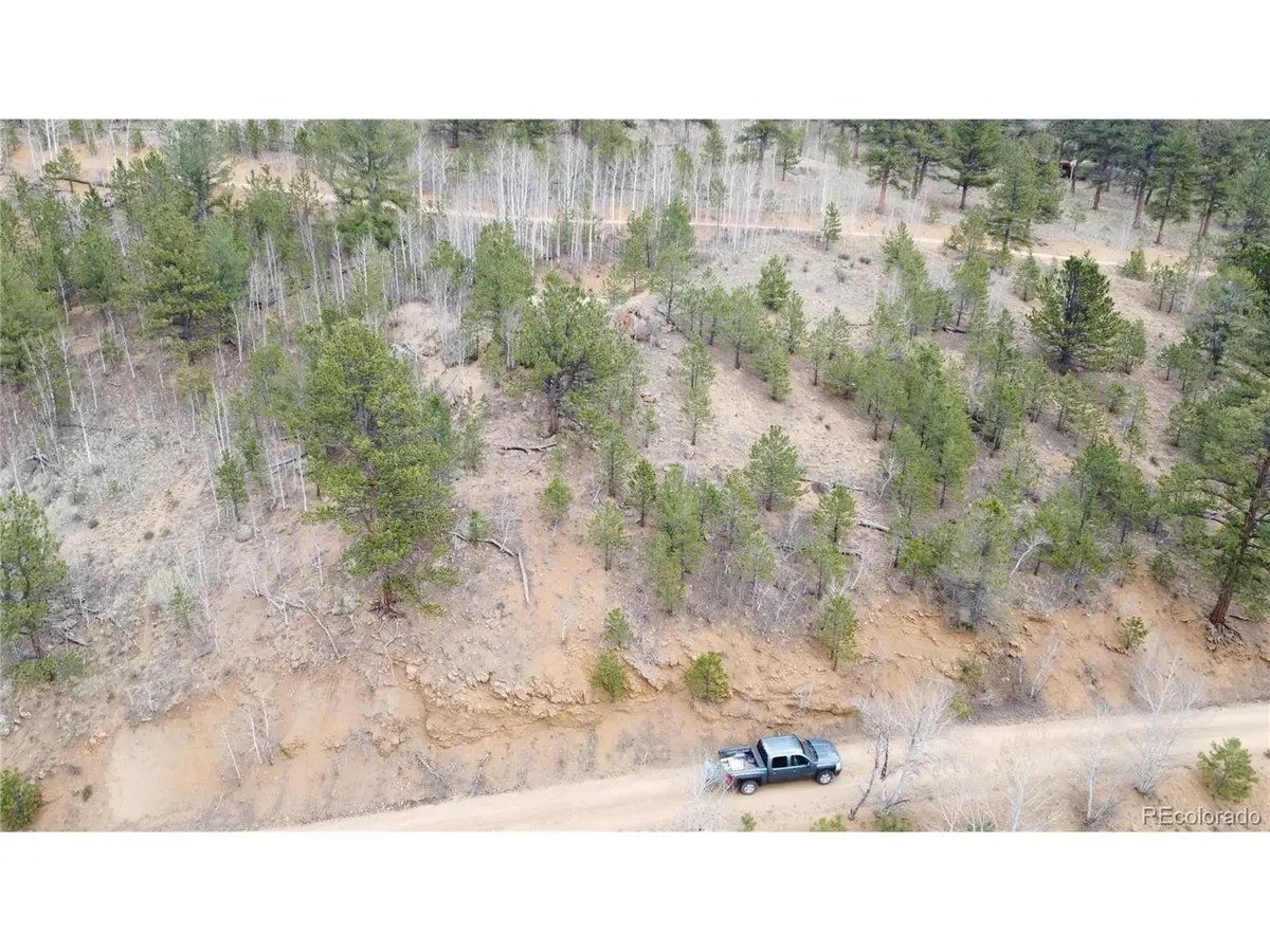 367 Neish, Bailey, CO 80421