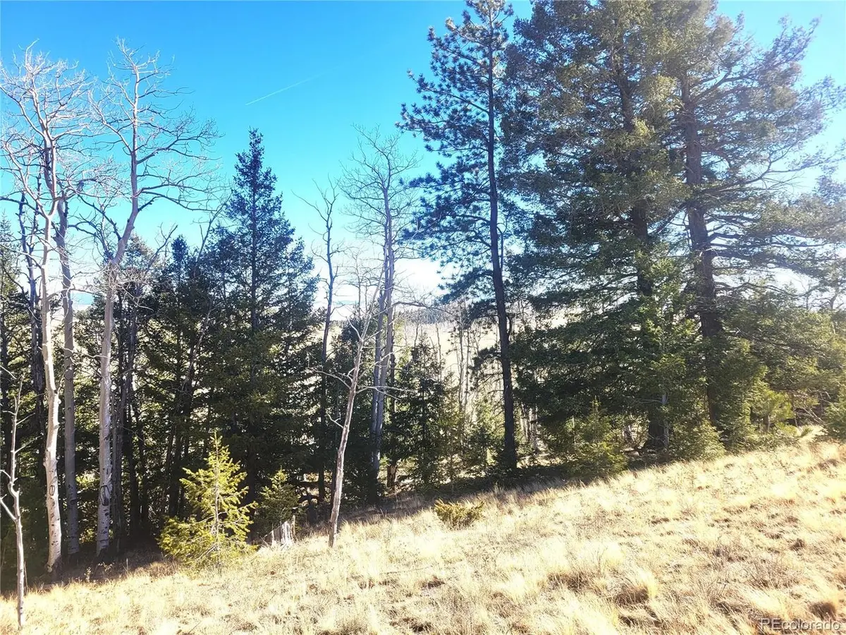 8802 Ranch, Hartsel, CO 80449