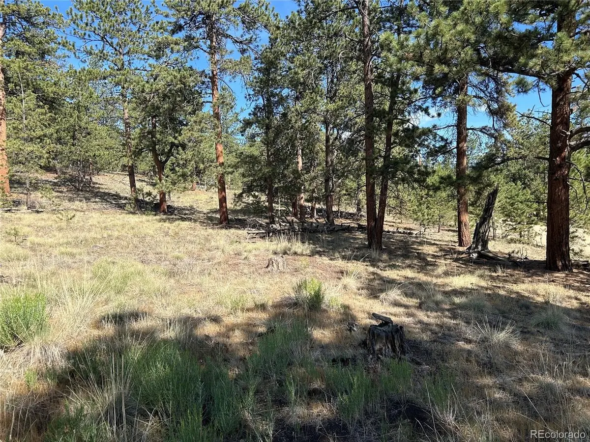 565 Hayhook, Hartsel, CO 80449