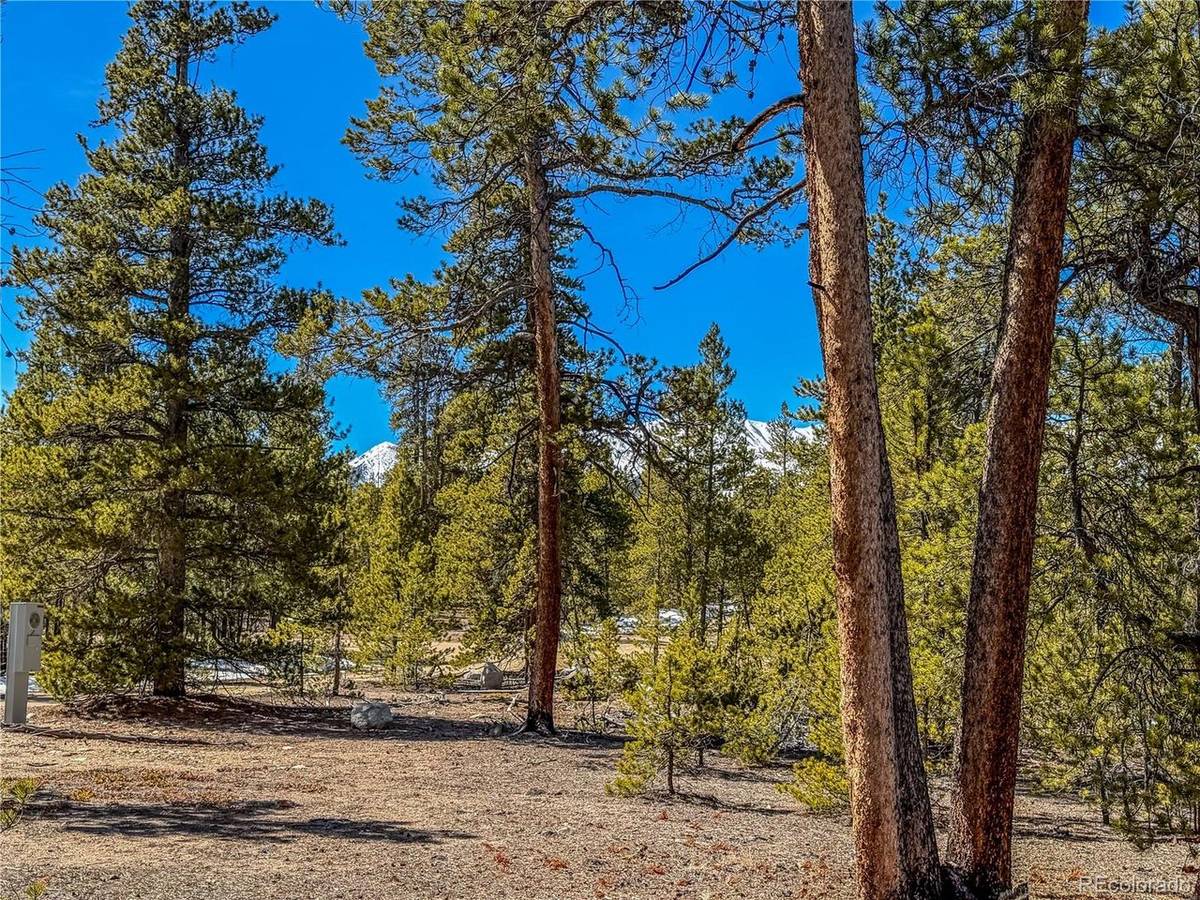 199 Cedar, Twin Lakes, CO 81251