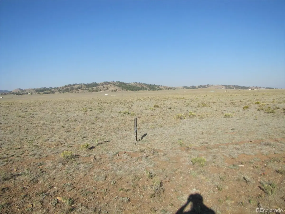 0 Buffalo, Hartsel, CO 80449
