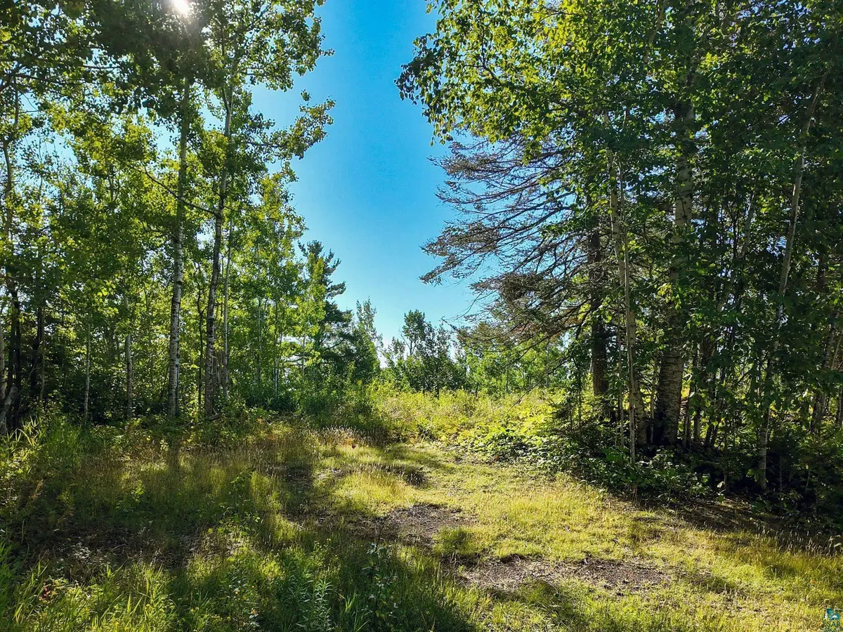 XXX Caspers Hill Rd, Grand Marais, MN 55604
