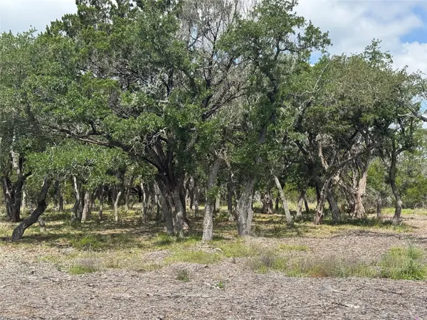 Lot 37 Riparian Elm RD, Bertram, TX 78605