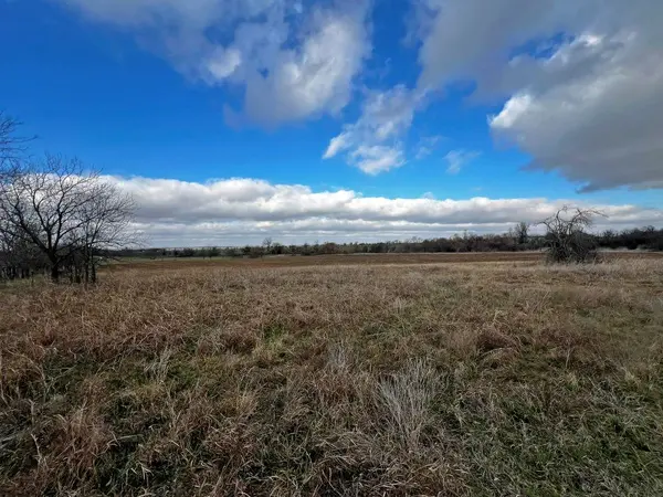 TBD County Road 196, Georgetown, TX 78626