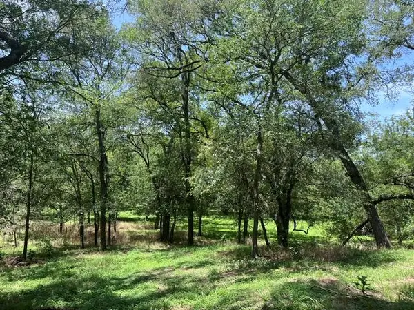344 & 343 Bateman RD, Red Rock, TX 78662