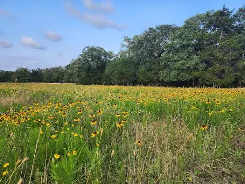 000 Fm 812 RD, Cedar Creek, TX 78612