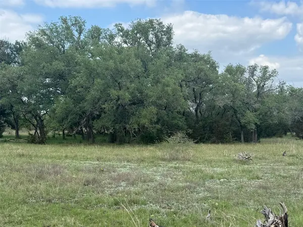 Lot 41 Maverick WAY, Briggs, TX 78608
