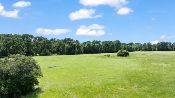 TBD (Tracts 11 & 12) St Delight RD, Paige, TX 78659
