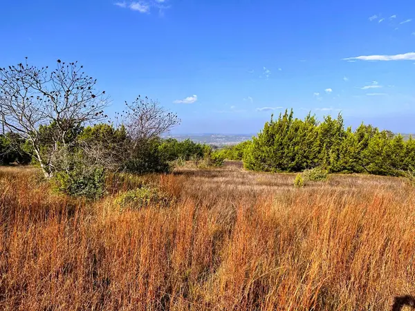 Lot 7 W Flying Owl Dr, Johnson City, TX 78636