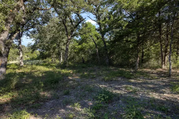 180 Autumn Oak CT, Caldwell, TX 77836