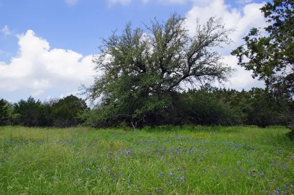 350 Apache Springs RD, Briggs, TX 78608