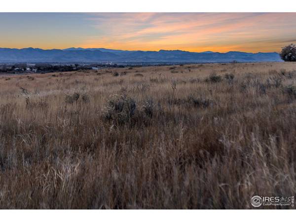 7923 County Road 84, Fort Collins, CO 80524