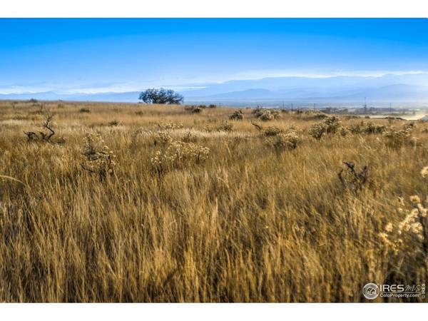 7895 County Road 84, Fort Collins, CO 80524