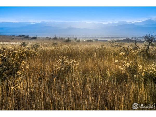 7913 County Road 84, Fort Collins, CO 80524