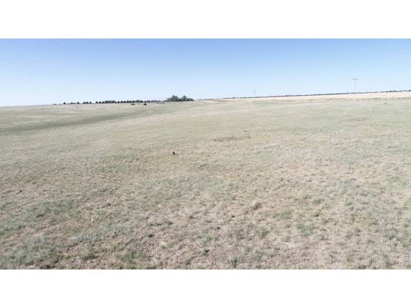 County Road DD, Akron, CO 80720