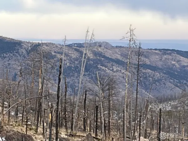 2025 Granite, Bellvue, CO 80512