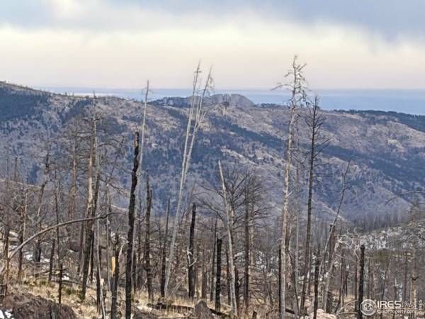 2025 Granite, Bellvue, CO 80512