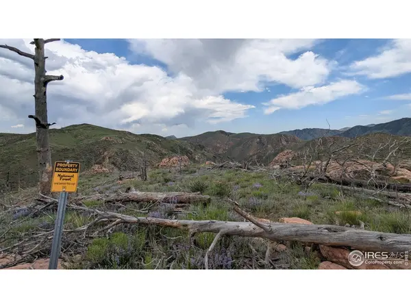 1360 Meadow Mountain, Livermore, CO 80536