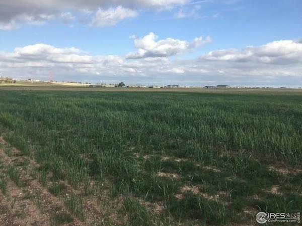 County Road 96, Nunn, CO 80648