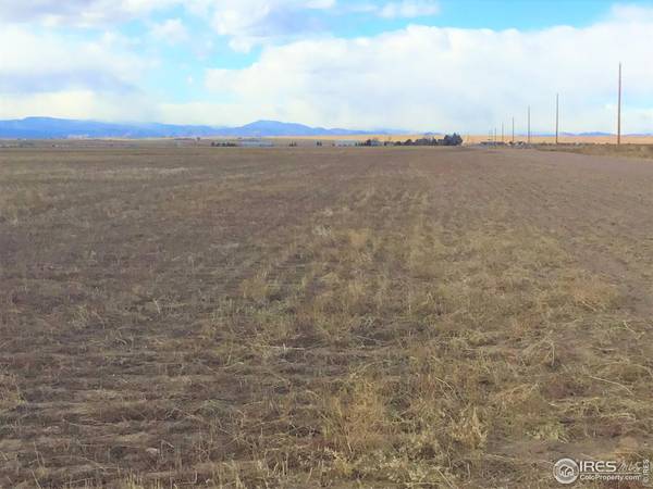 County Road 96, Nunn, CO 80648