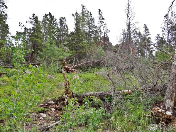 1683 Osage, Red Feather Lakes, CO 80545