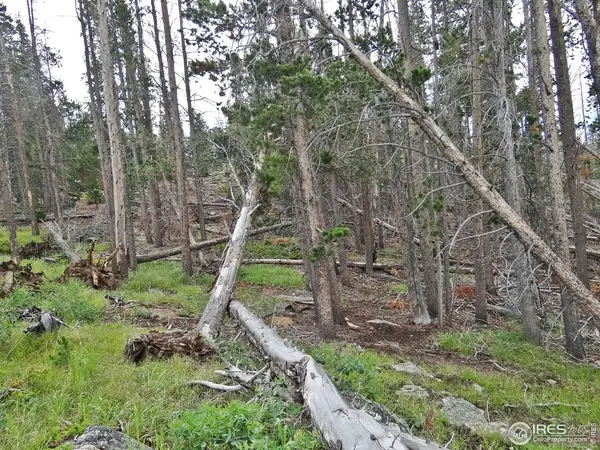 1683 Osage, Red Feather Lakes, CO 80545