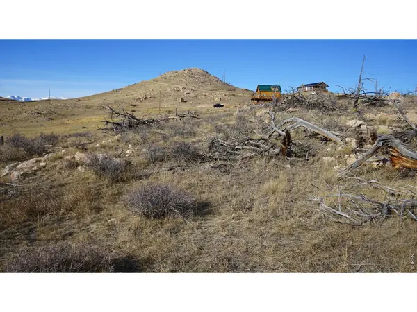 654 Horse Mountain, Livermore, CO 80536