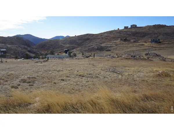 654 Horse Mountain, Livermore, CO 80536