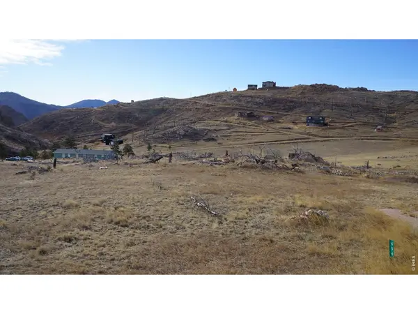 654 Horse Mountain, Livermore, CO 80536