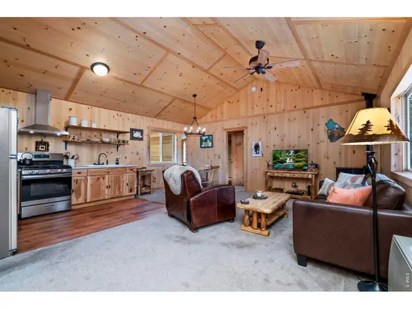 151 Mount Massive, Livermore, CO 80536