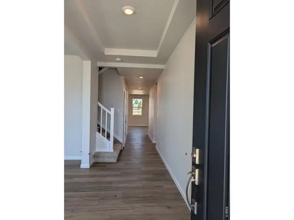 3445 Ballinger, Mead, CO 80542