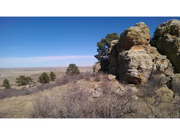 4318 Green Mile, Laporte, CO 80535