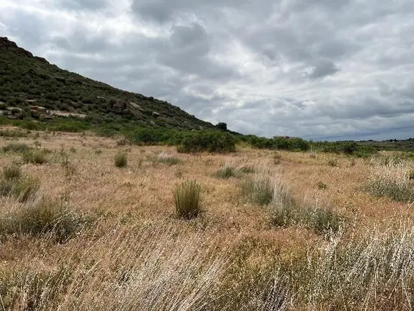 4318 Green Mile, Laporte, CO 80535